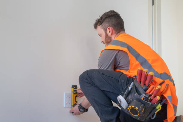 Best Electric Panel Repair  in Vernon, WI
